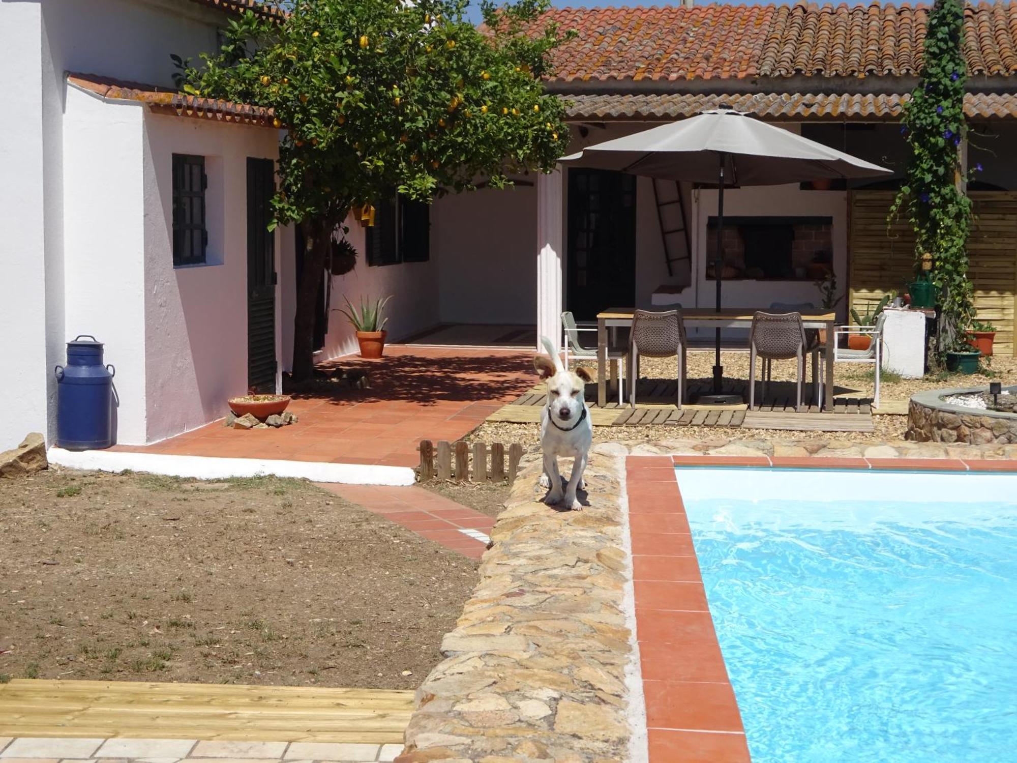 New Village Vila Nova da Baronia 외부 사진